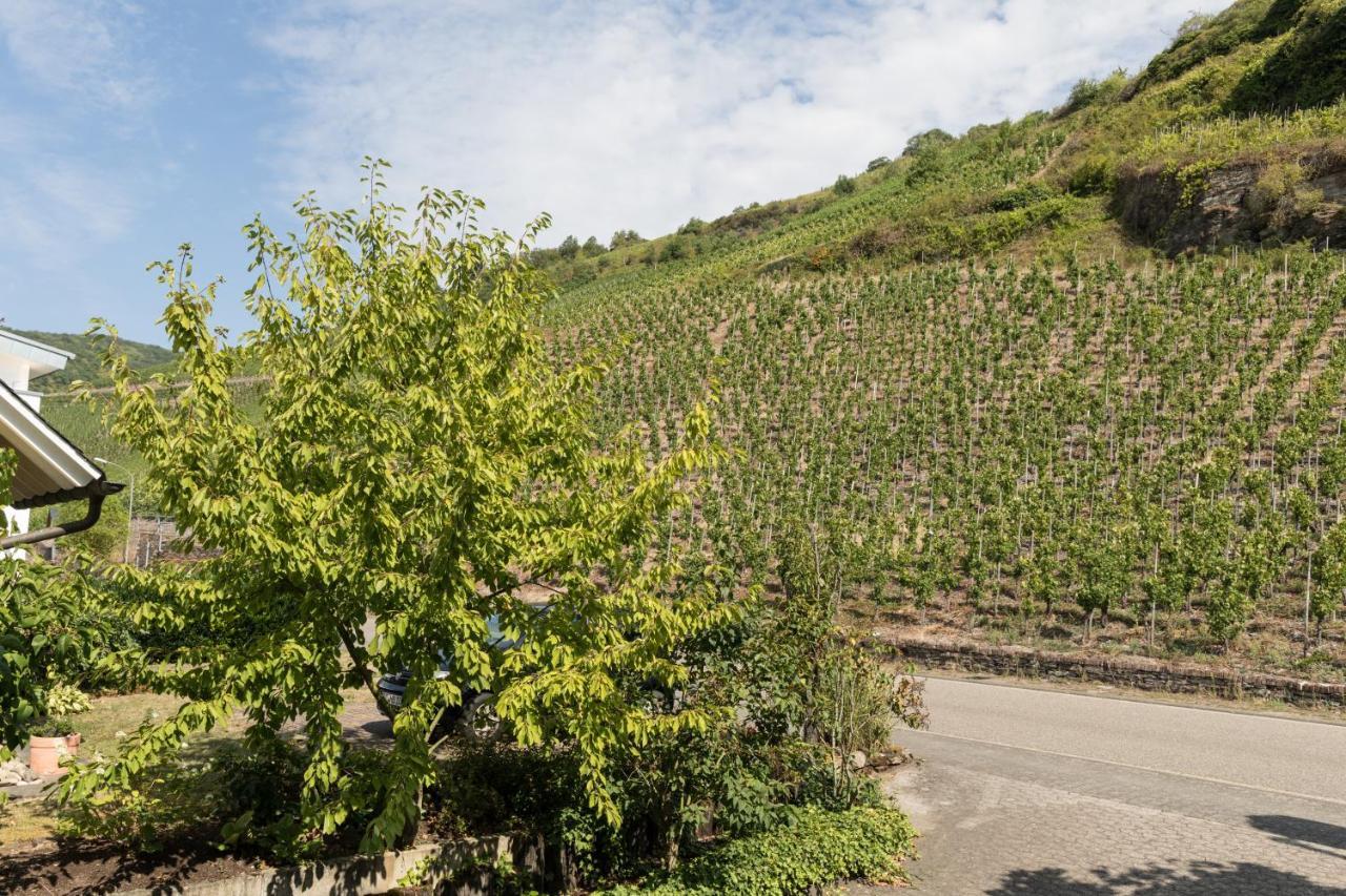 Hotel Garni "Cafe Im Hamm" Zell an der Mosel Ngoại thất bức ảnh