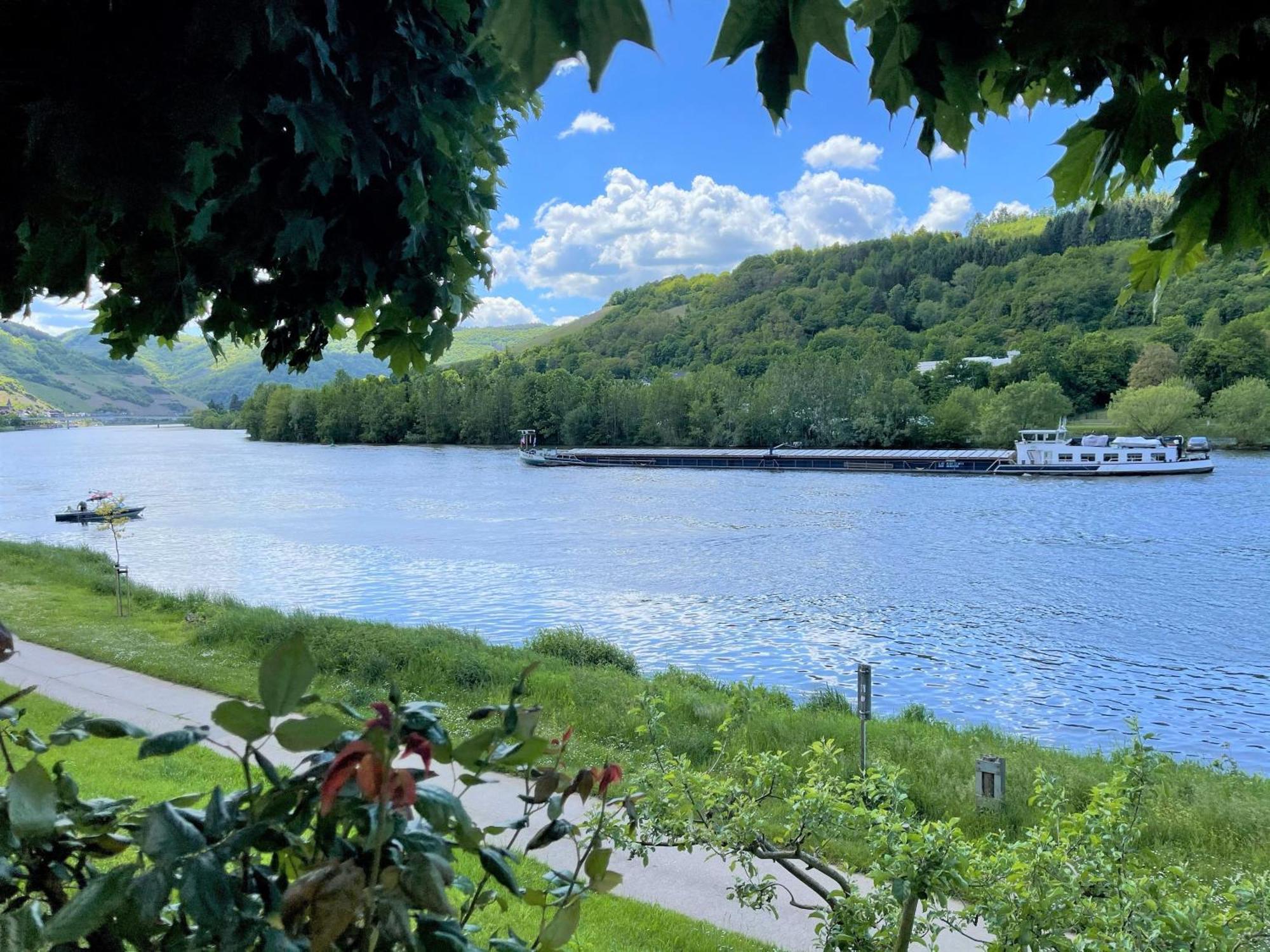Hotel Garni "Cafe Im Hamm" Zell an der Mosel Phòng bức ảnh